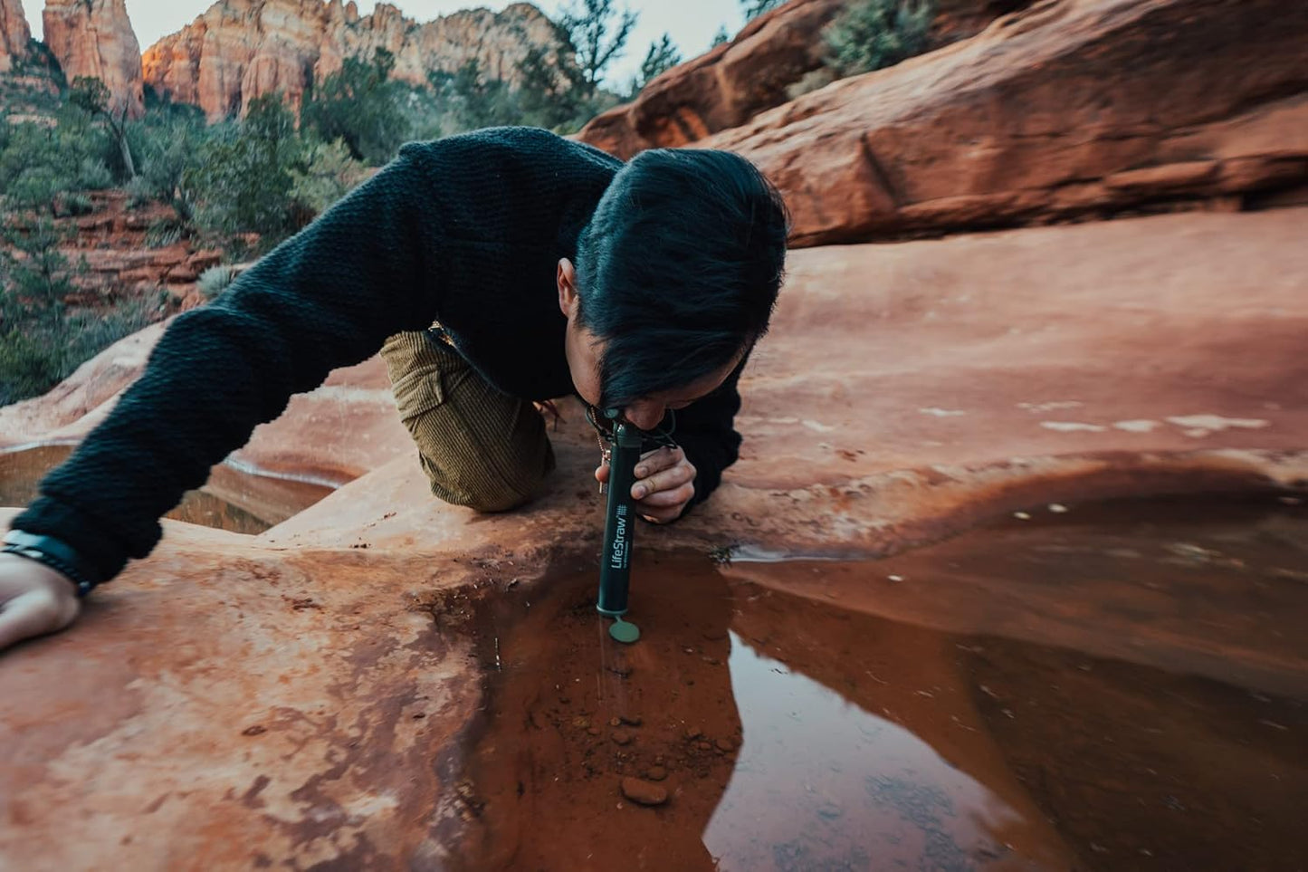 LifeStraw Personal Emergency Water Filter